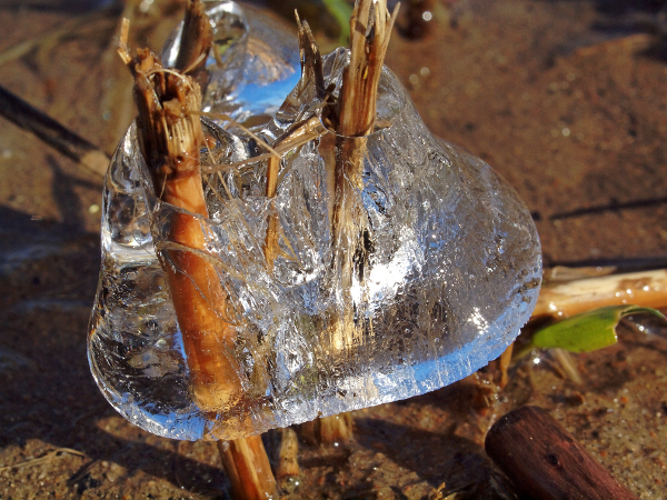Grosse goutte gelée.jpg